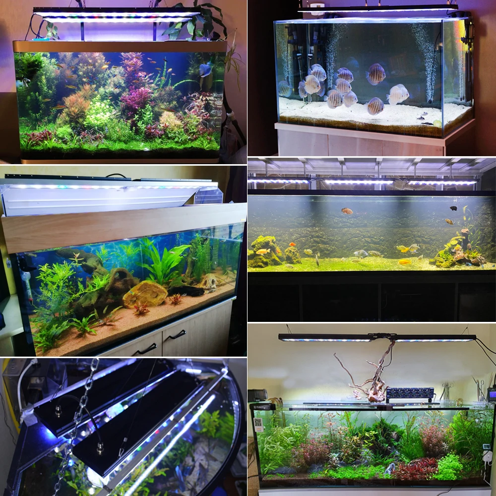 3 шт. светодиодные лампы для аквариума | Дом и сад