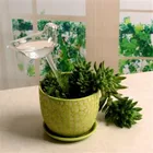 Водная кормушка для стеклянных растений, устройство для самополива грибовулиткиптицзвездсердец, для дома и сада