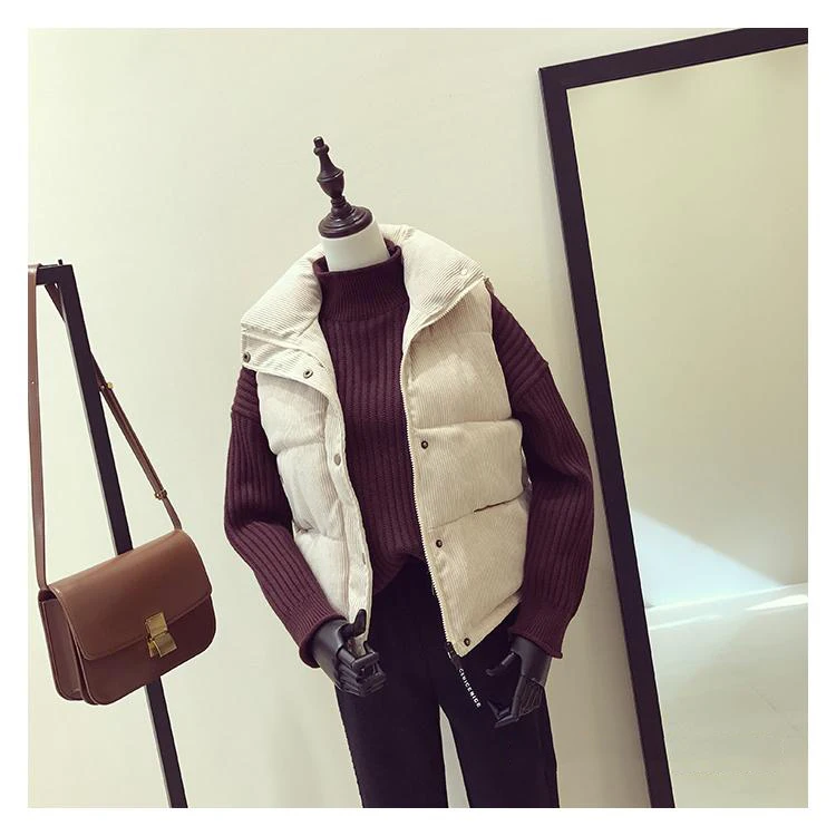 Пуховый жилет женская верхняя одежда 2019 корейская Свободная куртка с отложным