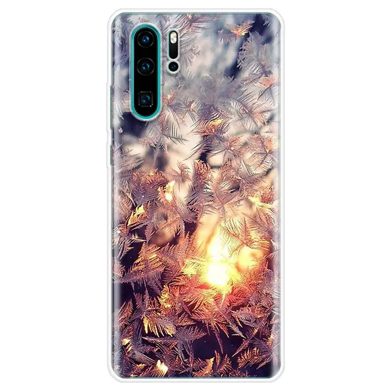 Чехол для телефона с изображением пейзажа и снега Huawei P10 P20 P30 P20Pro P30Lite P30Pro P Smart Z Mate