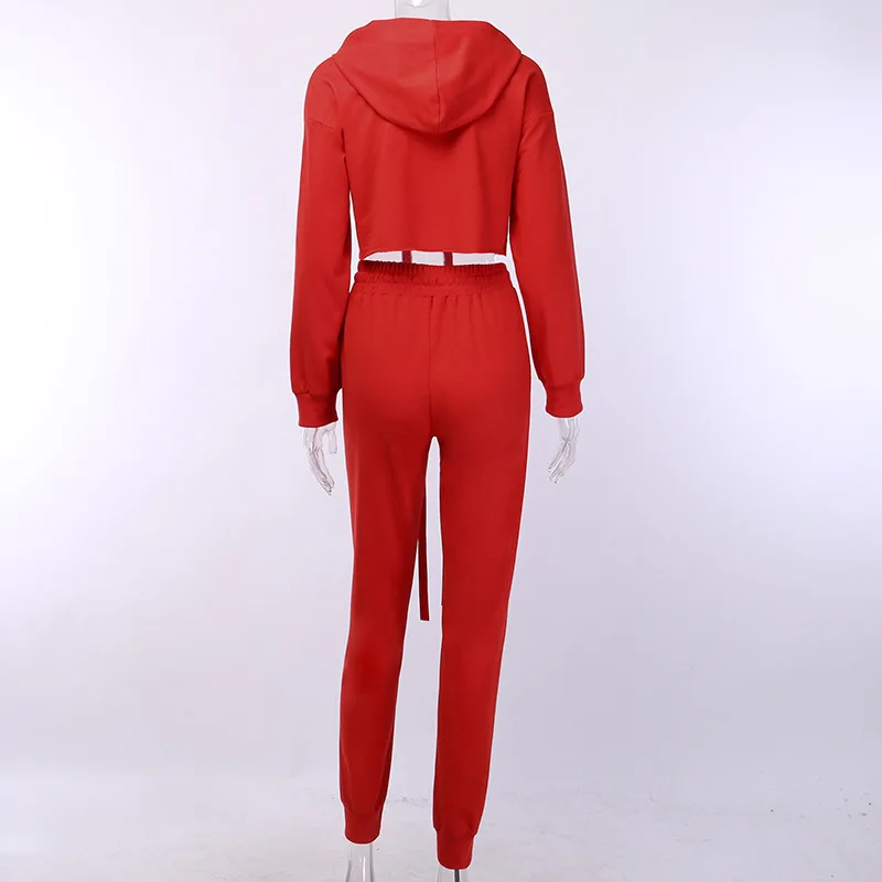Красный комплект из 2 предметов женские комплекты зимняя одежда худи укороченный