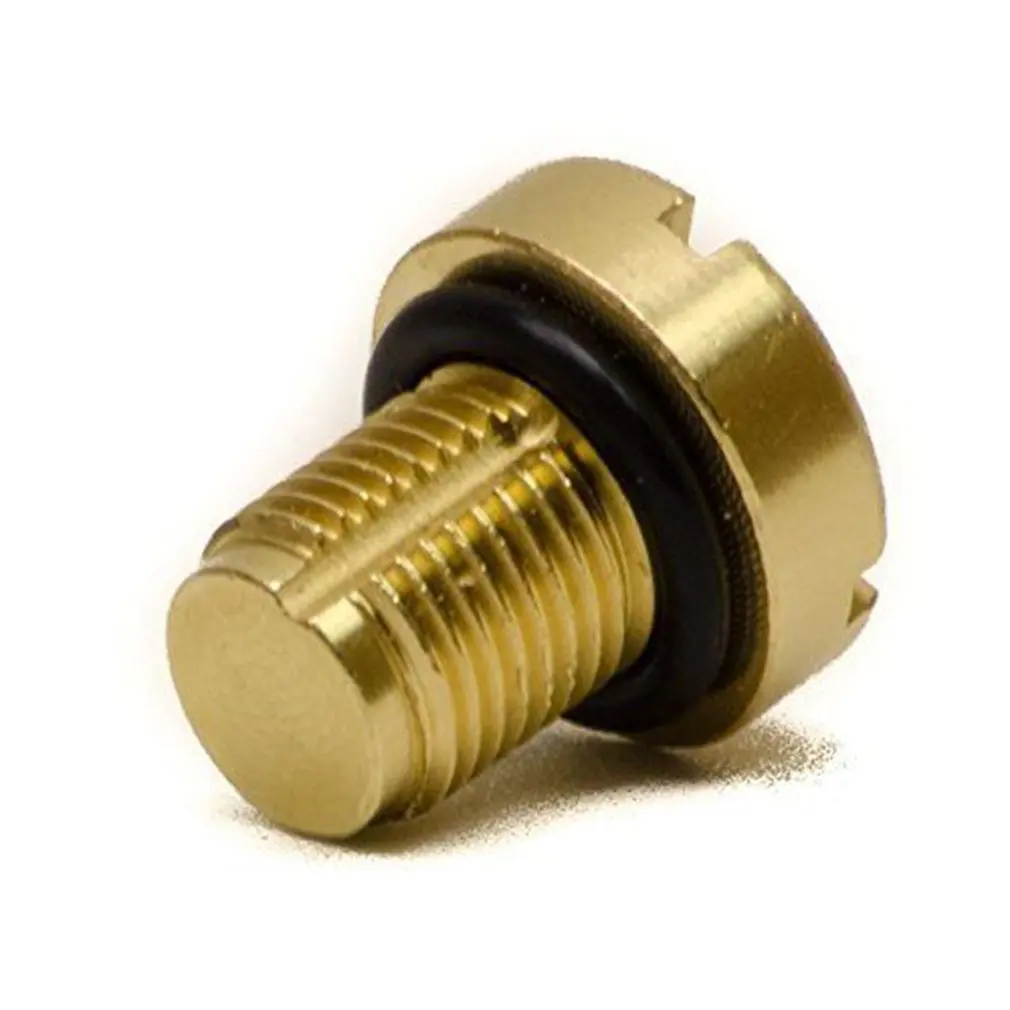 

Replacement Coolant Tank Bleeder Screw For BMW E46 E92 E90 E36 E39 Mini Cooper
