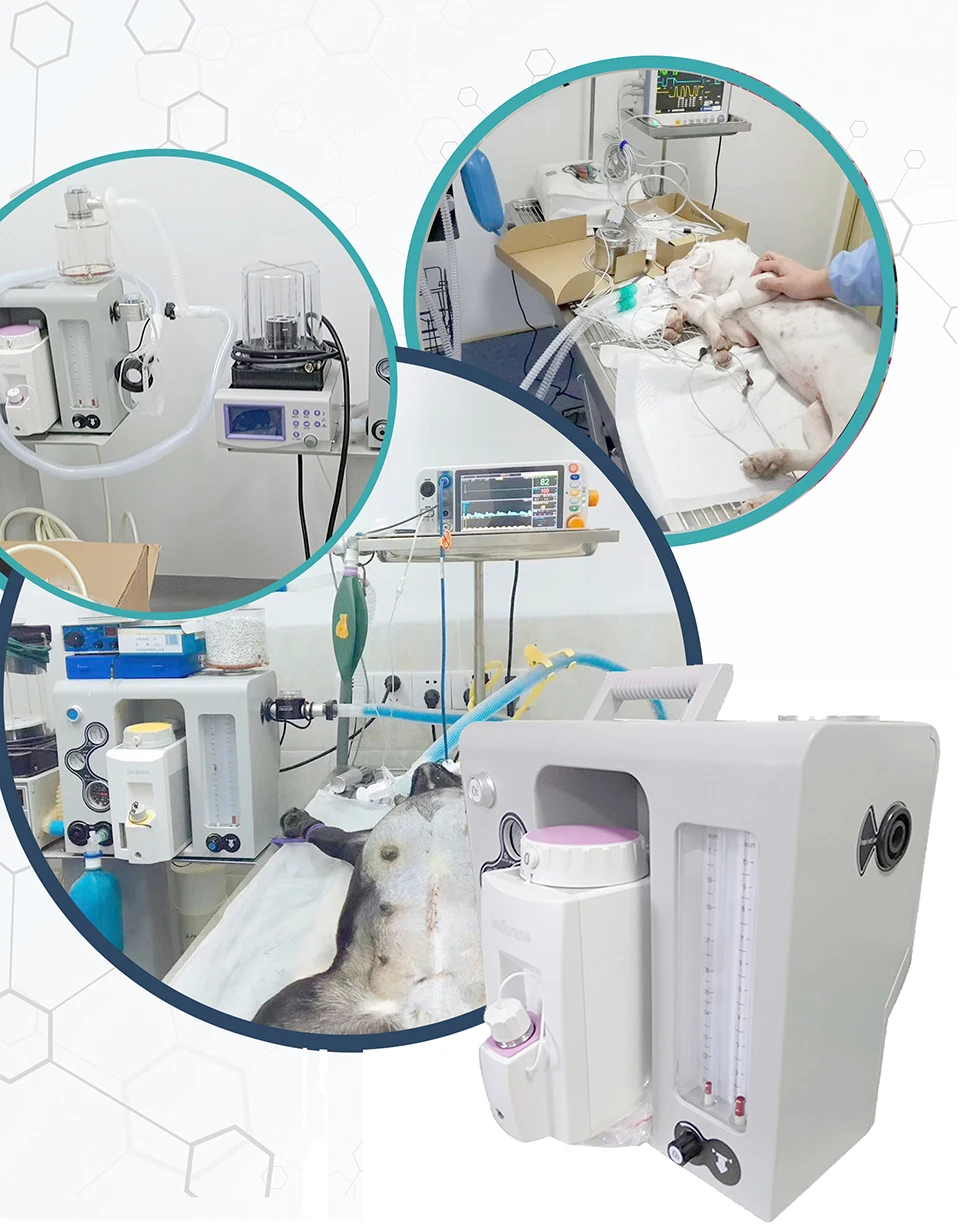 Uvet Veterinary Portable Anesthesia Machine stable and reliability adjustable easily for Veterinary equipment
