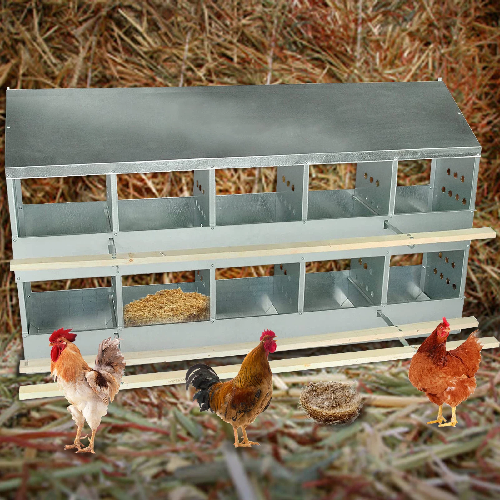 

Nest Laying Box Easy to Operate Economy 10 Hole Hen Chicken Nesting