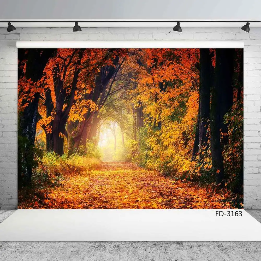 

Autumn Forest Maple Road Fallen Leaves Path Scenery Backdrop Baby Newborn Young Portrait Photography Background For Photo Studio
