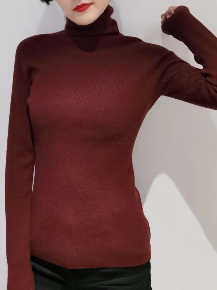 

Knitted Jumper Winter Tops Turtleneck Pullovers Casual Sweaters Women Shirt Long Sleeve
