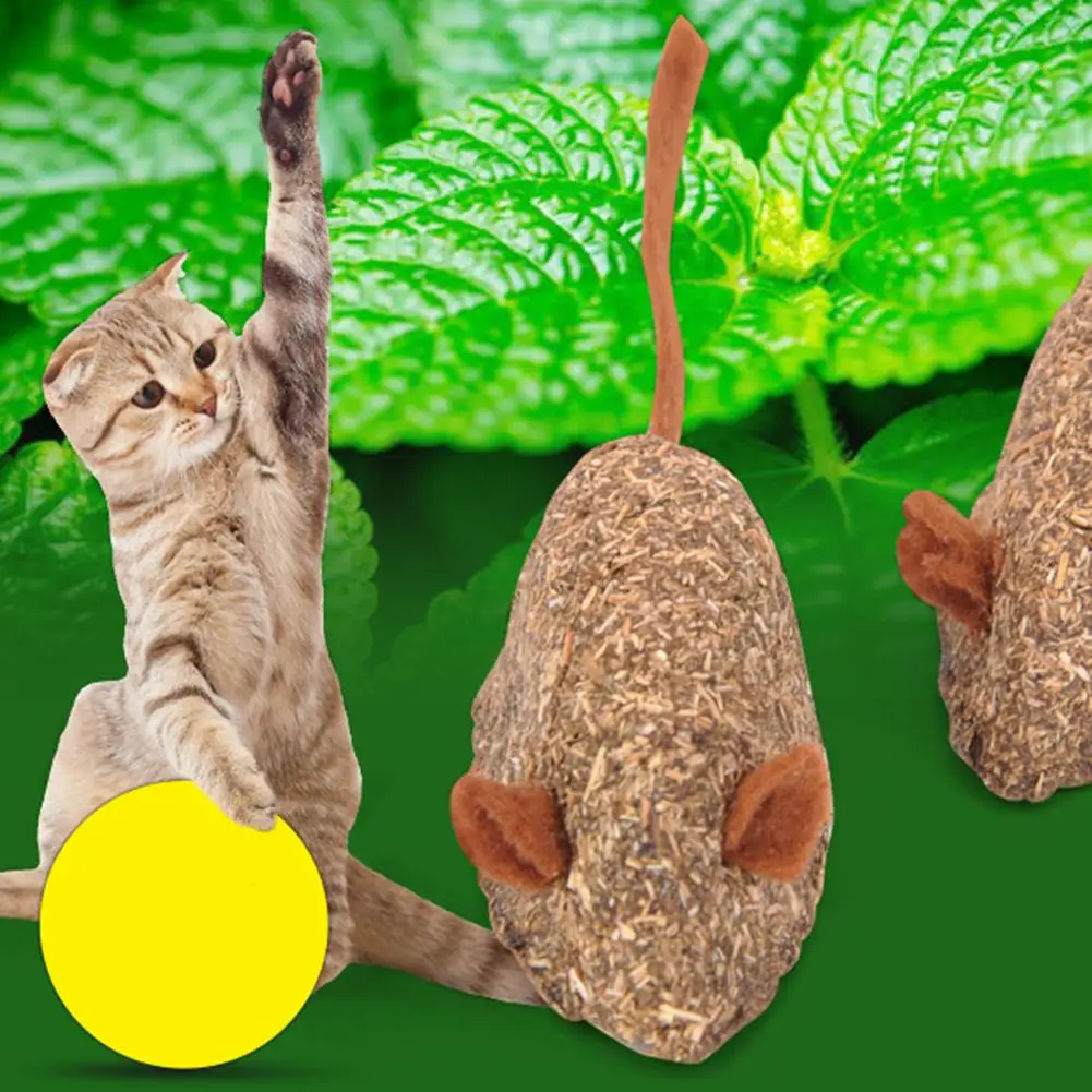 Форма мыши натуральная кошачья кошка игрушка для кусания Hairball удаление чистки