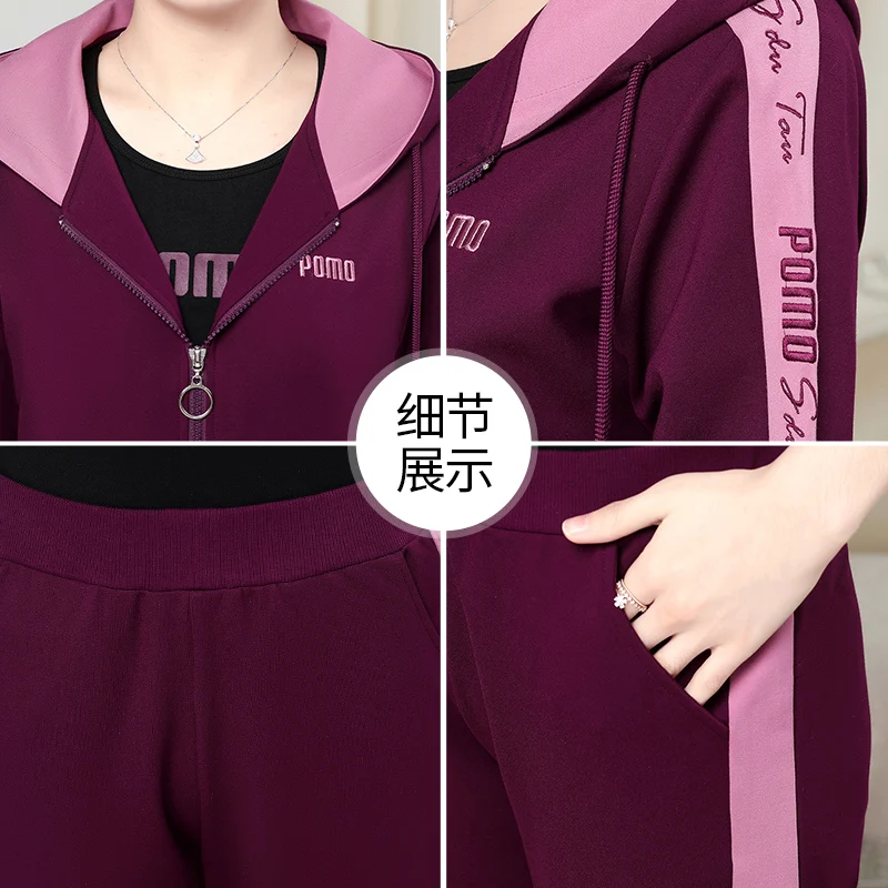 

Women Elegant Solid Three-Piece Sweatsuit Autumn Winter New Casual Loose Hooded Tops And Elastic Waist Pant Fashion Streetwear S