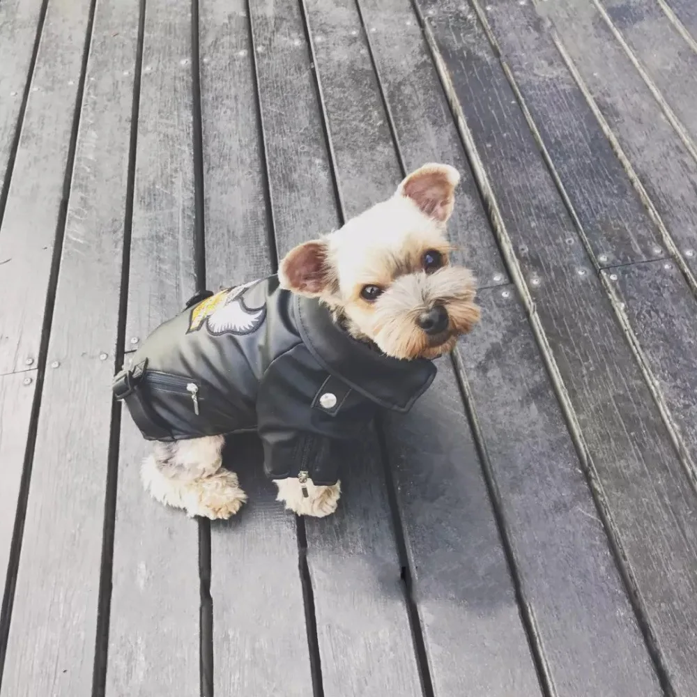 

Fashion Pet Dog PU Leather Jacket Waterproof Coat For Small Medium Large Dogs Doberman Schnauzer Bulldog Hoodie Clothes SCC01