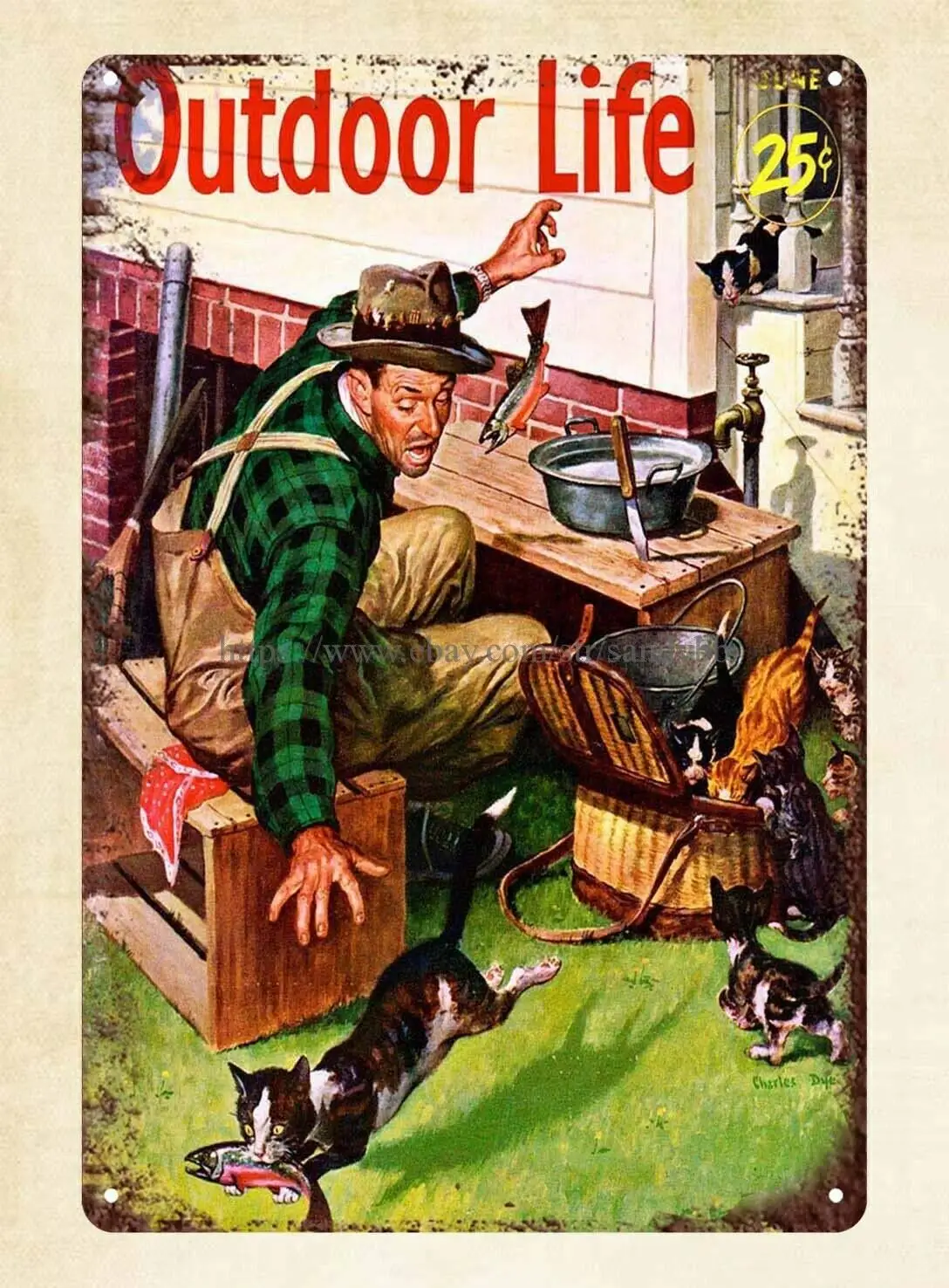 

Обложка для журнала «рыбные воры», 8 х12 дюймов