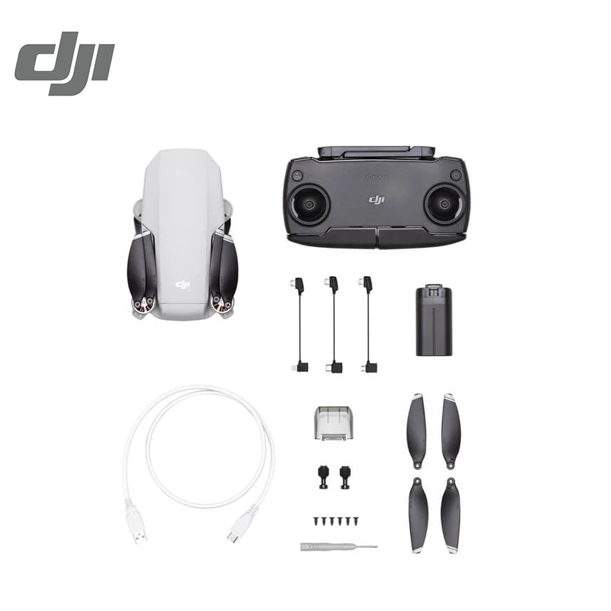 Дроны DJI Mavic Mini версия MT1SS5 FCC стандартный комплект камера 2.7К максимальное время