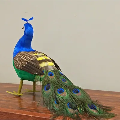 cute real life peacock model foam&feather simulation small peacock bird gift about 45cm xf2670