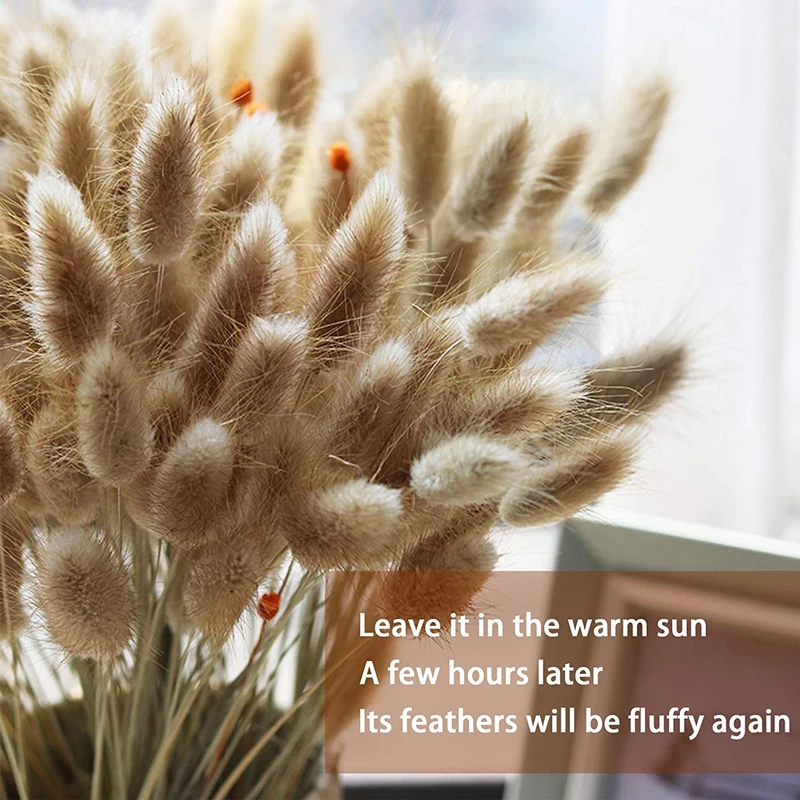 

60Pcs Natural Dried Flowers Pampas Rabbit Tail Grass Plants Bouquet for Wedding DIY Centerpieces Arrangement Wreath Home Decor