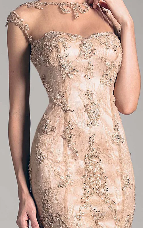 

Gorgeous custom Prom Dresses champagne See Through Long Sleeves Sheath Evening Gowns Zipper Back Robe De Soiree Party Dress 2021