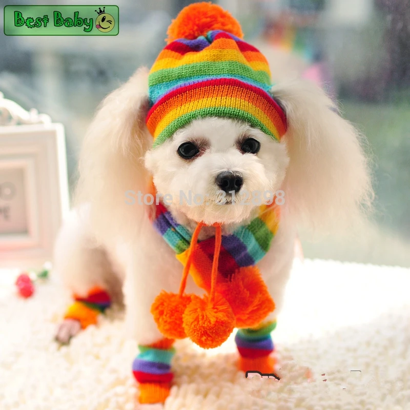 

Winter Pet Puppy Accessories For Dogs Knitted Striped Hats Scarf Socks Little Small Big Animals Yorkshire Chihuahua Cat Products