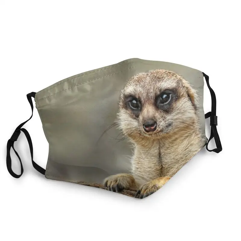 

Meerkat Watching Meme Mask Dustproof Adjustable Animal Face Mask Protection Cover Unisex Respirator Mouth Muffle