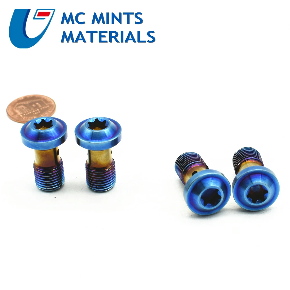 Titanium Bolt for Caliper Bolts Tube Motorcycle Modified M10 Pitch 1.0 1.25mm Purple Color Ti Bolts Ti Screw Ti Fasteners 2 pcs