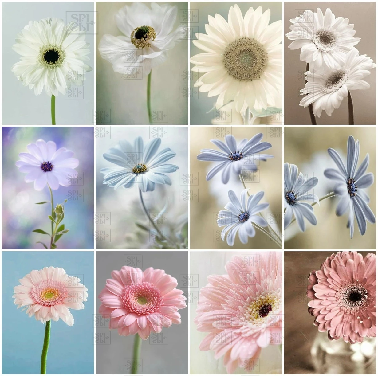 

5D Diy Diamond Painting Daisy Rhinestone Picture Full Square Flower Full Diamond Embroidery Mosaic Gift Home Wall Decoration Kit