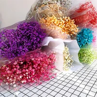 natural fresh dried preserved flowers gypsophila paniculata babys breath flower bouquets gift for diy eternal flower 2021 new