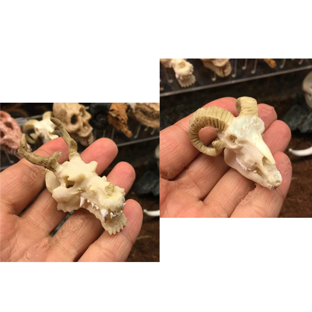 2 предмета из смолы для вивария рептилий украшения террариума DIY благоустройство