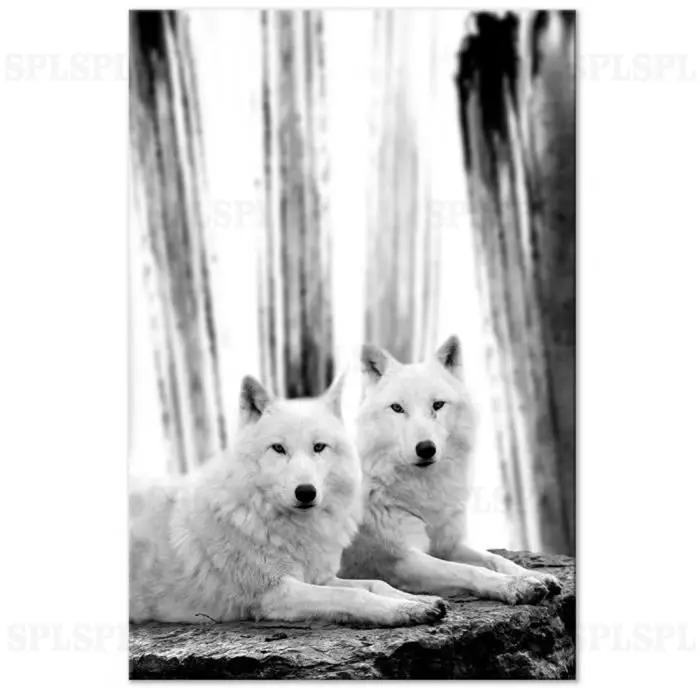 

Forest Love Painting (1 Part) Vertical Black And White Animals Photography Dogs Paintings Pictures On Canvas Canvas Print