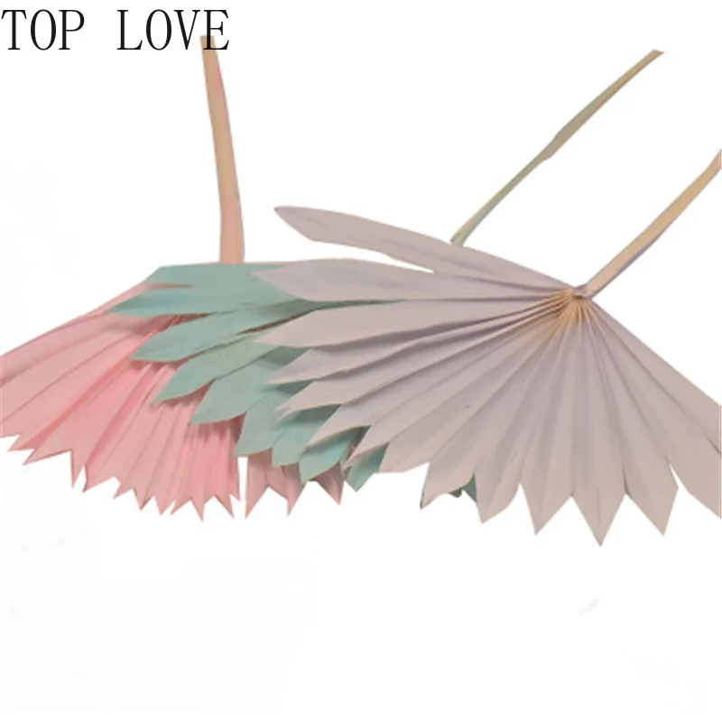 Сушеный цветок веер для пальмы листья растения Подсолнух украшение дома