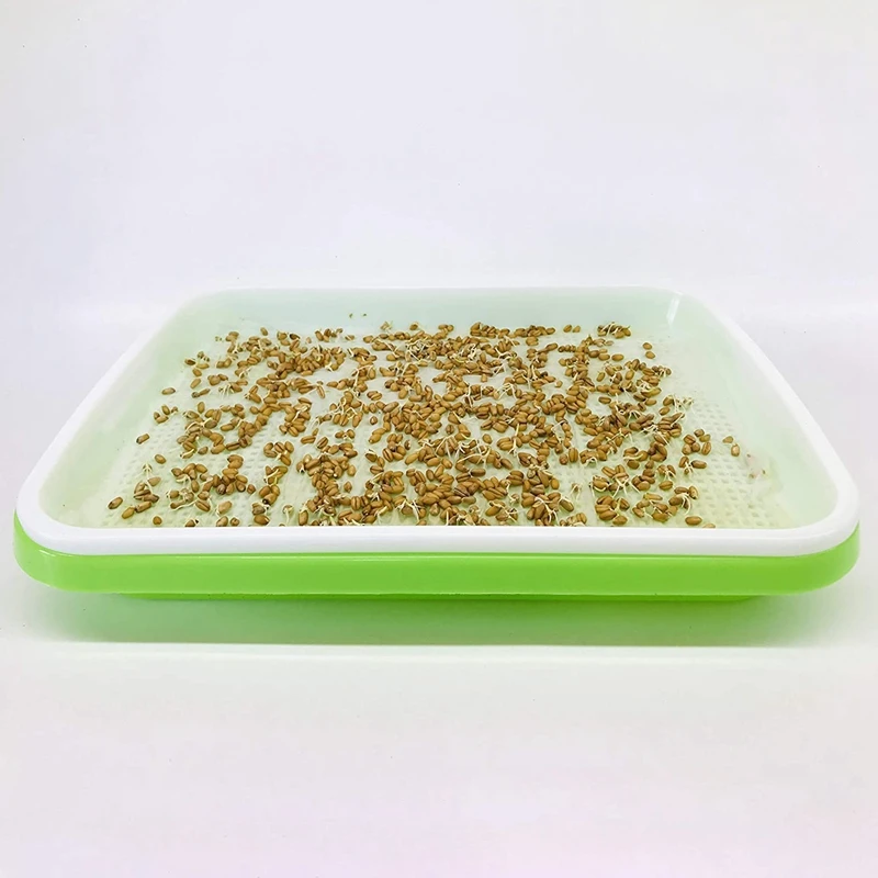

200 Sheets of Nursery Paper Sprout Vegetable Planting Paper 18 X 26.6cm, Suitable for Plant Germination Tray