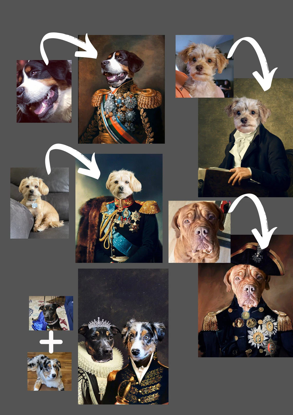 

5d Diamond Paintingfunny Custom Pet Portrait Painting For Home Decoration Full Square And Round Diamond Embroidery Cross Stitch