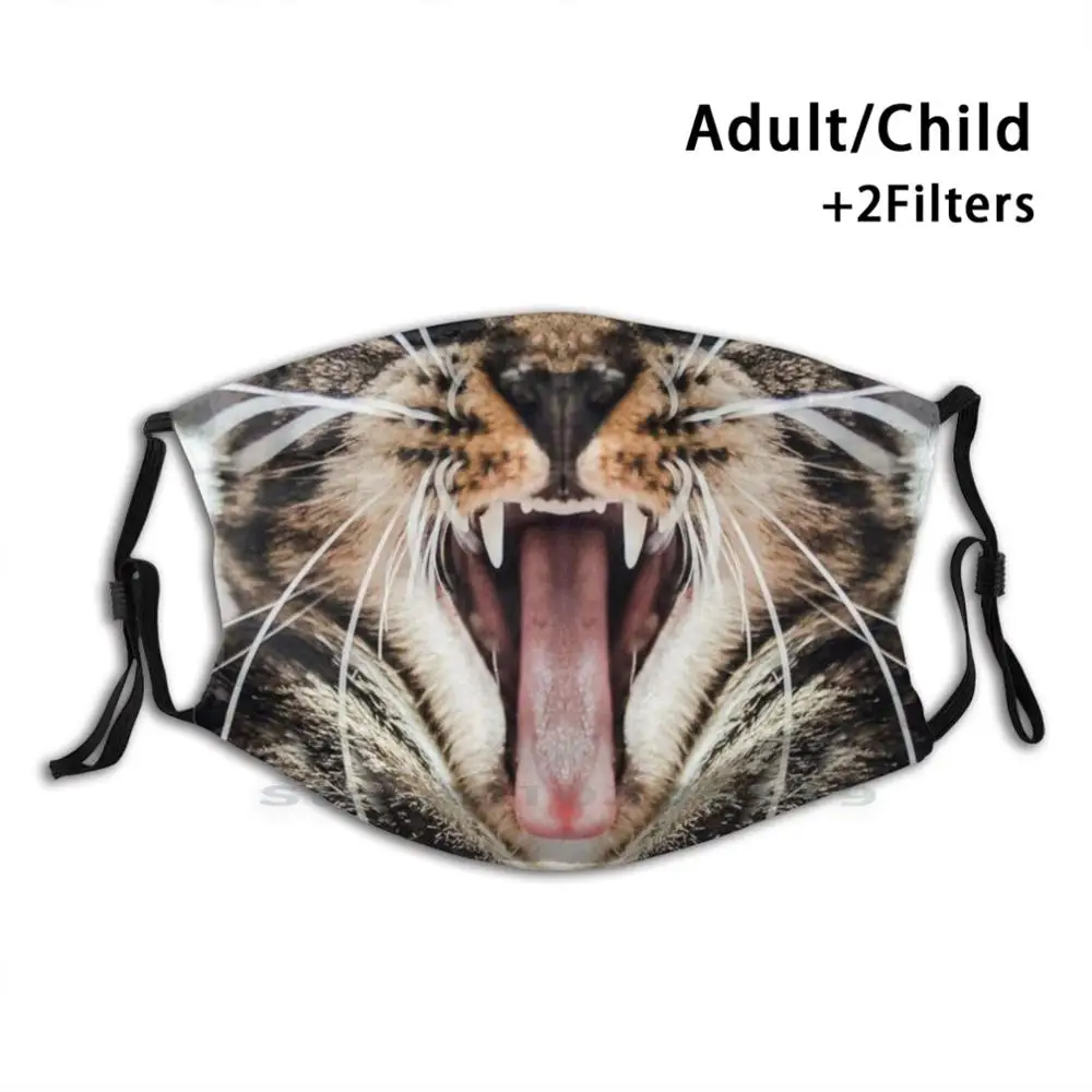 

Cats Whiskers Mouth Print Reusable Mask Pm2.5 Filter Face Mask Kids Cats Cougar Big Cat Whiskers Fur Leather Leopardskin