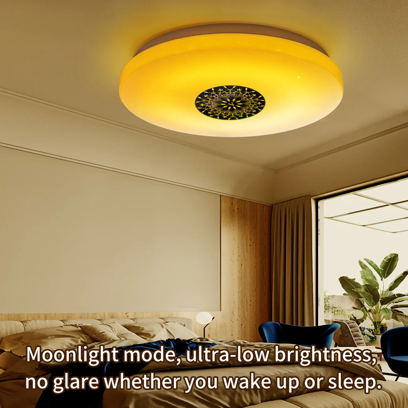 

Guanhong Smart Modern Ceiling Light wifi Voice Control Suitable for living room bedroom kitchen, dimming color LED ceiling lamp