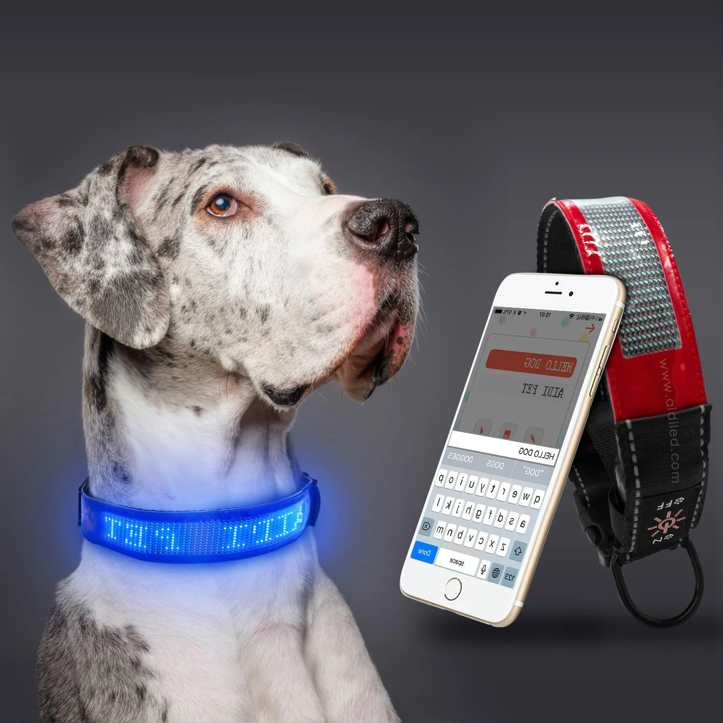 

USB Charge Led Dog Collar Smart Global Bluetooth Display Light-emitting Collar Anti-Lost Pet Supplies Dogs Puppies Dog Collars