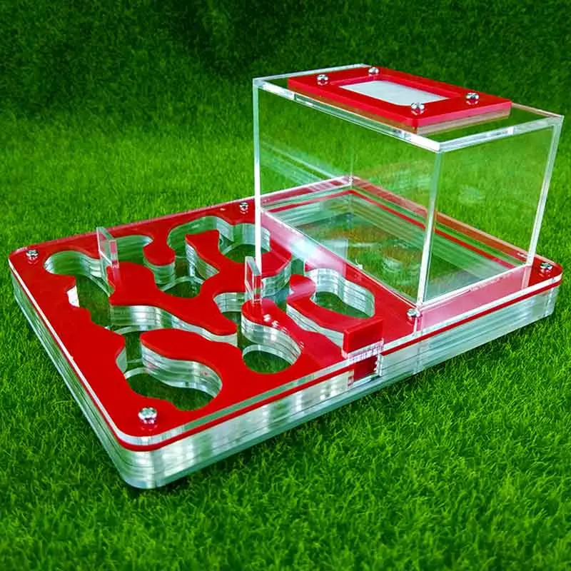 New Acrylic Flat Ants Nesting Ant Farm Small Breeding Pets Terrarium Reptile Insect Supplies Gifts images - 6
