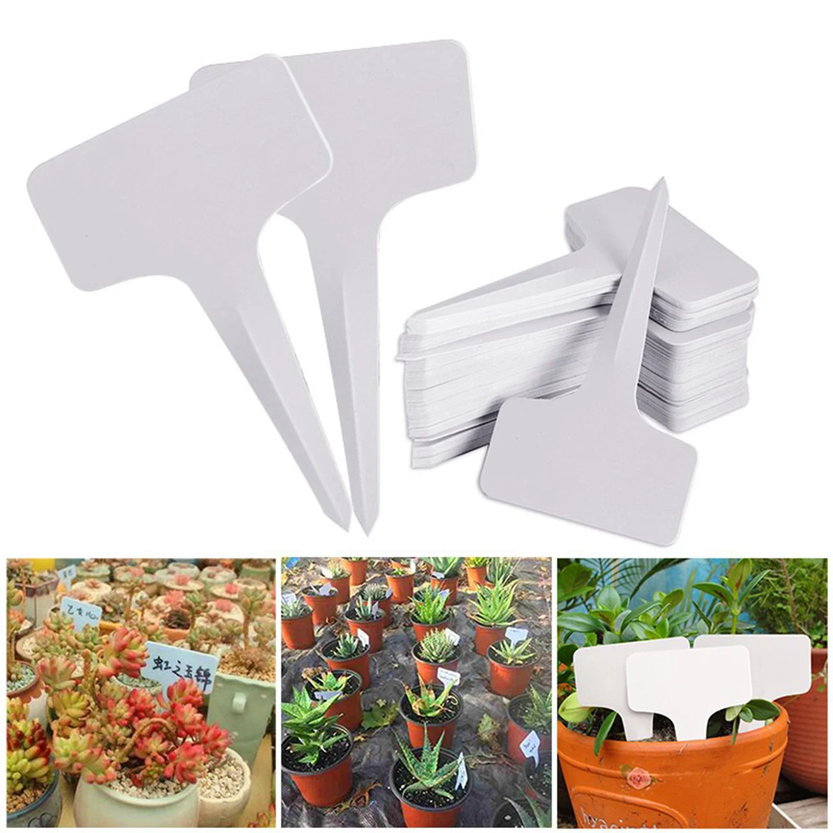

100PCS T-Type Garden Labels Plant Classification Sorting Sign Tag Plastic Waterproof Mark Card Flower Seed Nursery Plant Labels