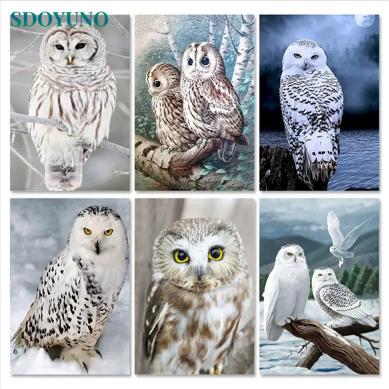 

SDOYUNO Oil Paint By Numbers Kits Owl Animals Painting By Numbers On Canvas Frameless 60x75cm Figure Draw Painting DIY Home Deco