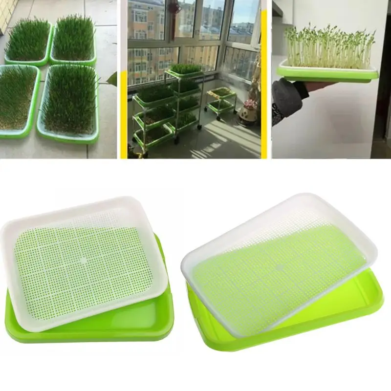 1 Набор лоток для выращивания растений и саженцев | Дом сад