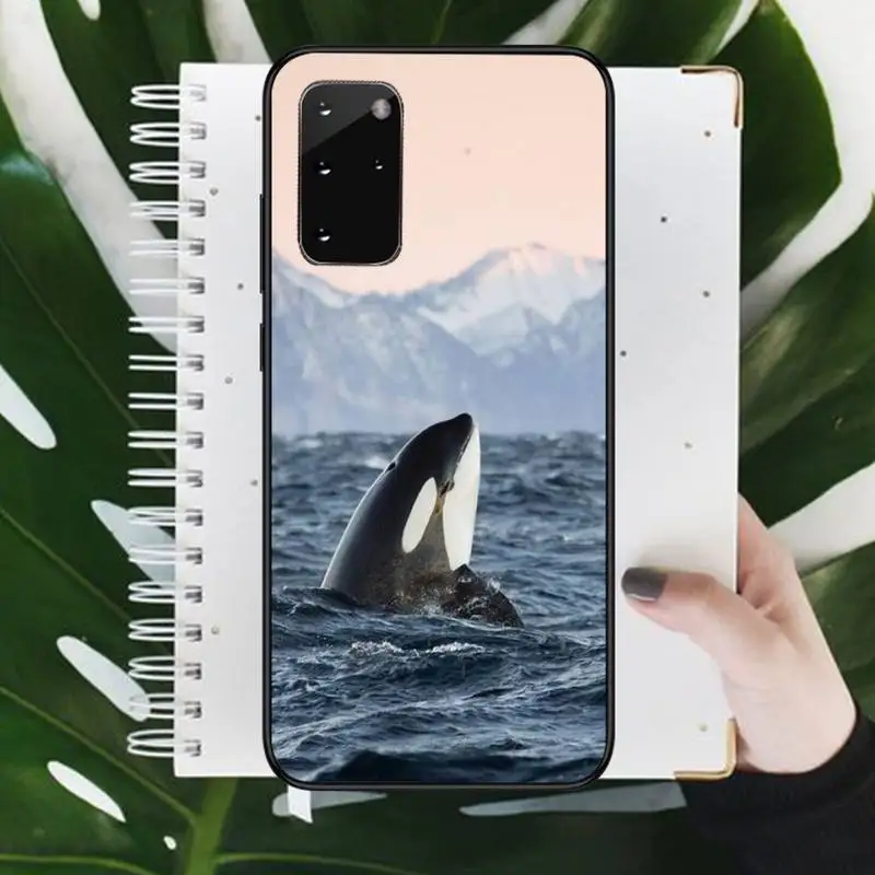 

Killer Whale Orca pattern Phone Case For Samsung galaxy S 9 10 20 A 10 21 30 31 40 50 51 71 s note 20 j 4 2018 plus