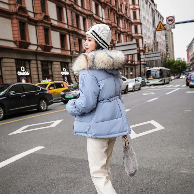 Горячая Распродажа женская короткая стильная новинка 2019 модная Милая хлопковая