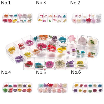 

6 styles 1 Box Real Pressed Flower Leaves Crystal Epoxy Filler Dried Daisy Flower Resin Art DIY Jewelry Making