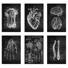 Костно-скелетный Скелет сердце анатомический Скелет Картина на холсте, скандинавский постер Настенная картина, украшение для медицинского офиса