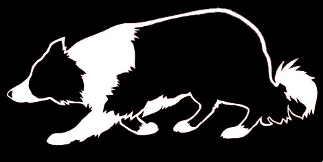 

Fuzhen Boutique наклейки внешние аксессуары бордер-колли наклейка на бампер бордер-колли наклейка собака породы наклейка Stockdog