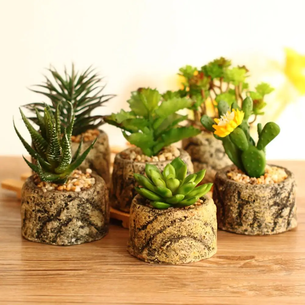 

Home Artificial Succulent Plants Fake Artificial Bonsai with Pots Decorative Ball Plants Artificial Flower Mini Plants decor