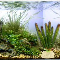 aquarium plastic ornament simulation decorative artificial cactus plant water grass fish tank oxygen making plant decoration