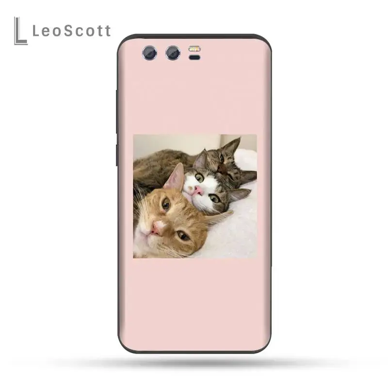 

Aesthetic Cute Animal Cat Phone Cases For Huawei Honor view 7a5.45inch 7c5.7inch 8x 8a 8c 9 9x 10 20 10i 20i lite pro