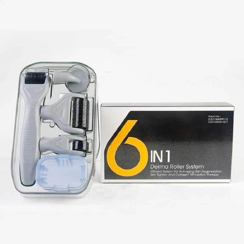 6 in 1 gray Derma роликовая система Microneedle комплект для лица корпус 0,25 мм титановая Замена Dermaroller Avec Micro Aiguilles Agulha Прямая - Цвет: 6 in 1 gray