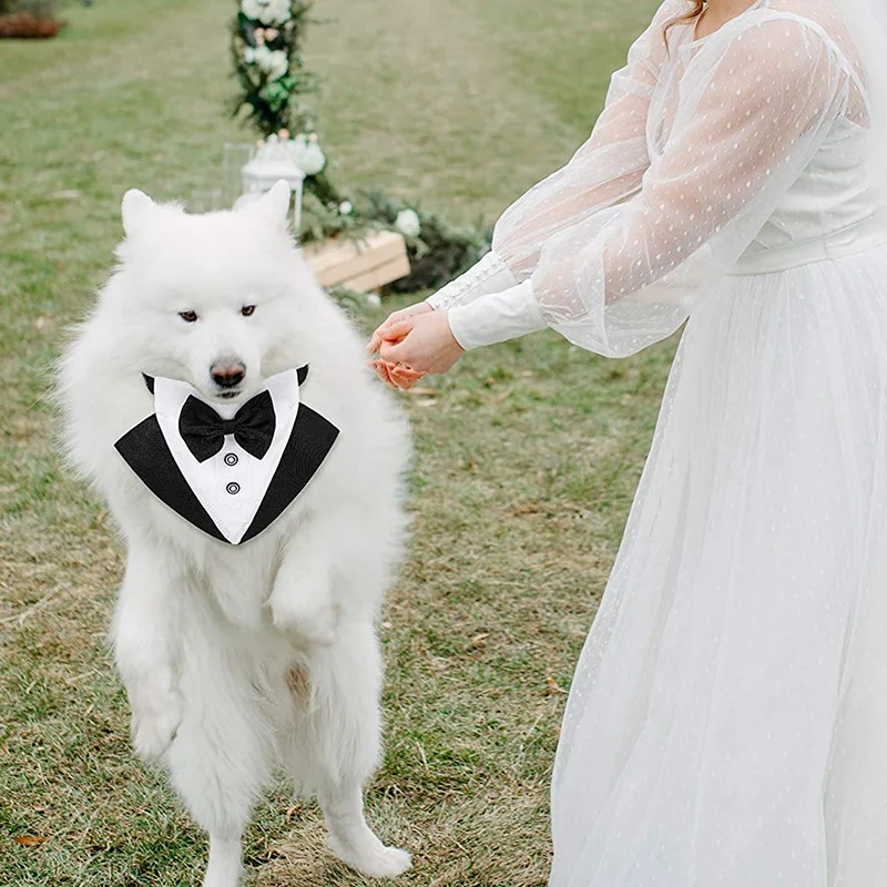 

2 Pieces of Pet Wedding Bow Tie Scarf Collar Adjustable Tie Black Pet Clothing Bow Tie Scarf Formal Occasions