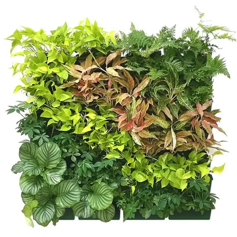 Настенная подвесная пластиковая коробка для посадки эртический трехмерный