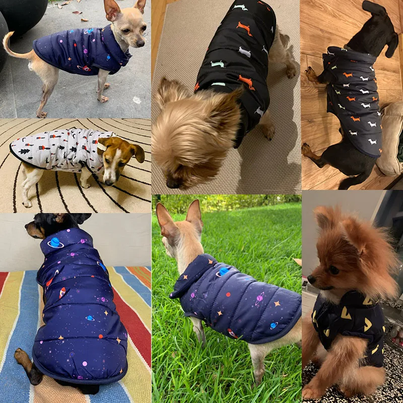 Зимнее теплое пальто для собак одежда маленьких мягкая хлопковая толстовка с