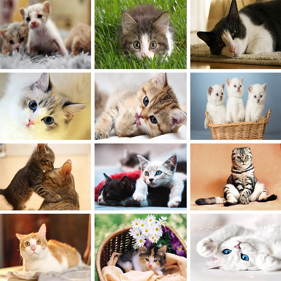 Алмазная 5D картина сделай сам животное кошка полная вышивка стразы подарок