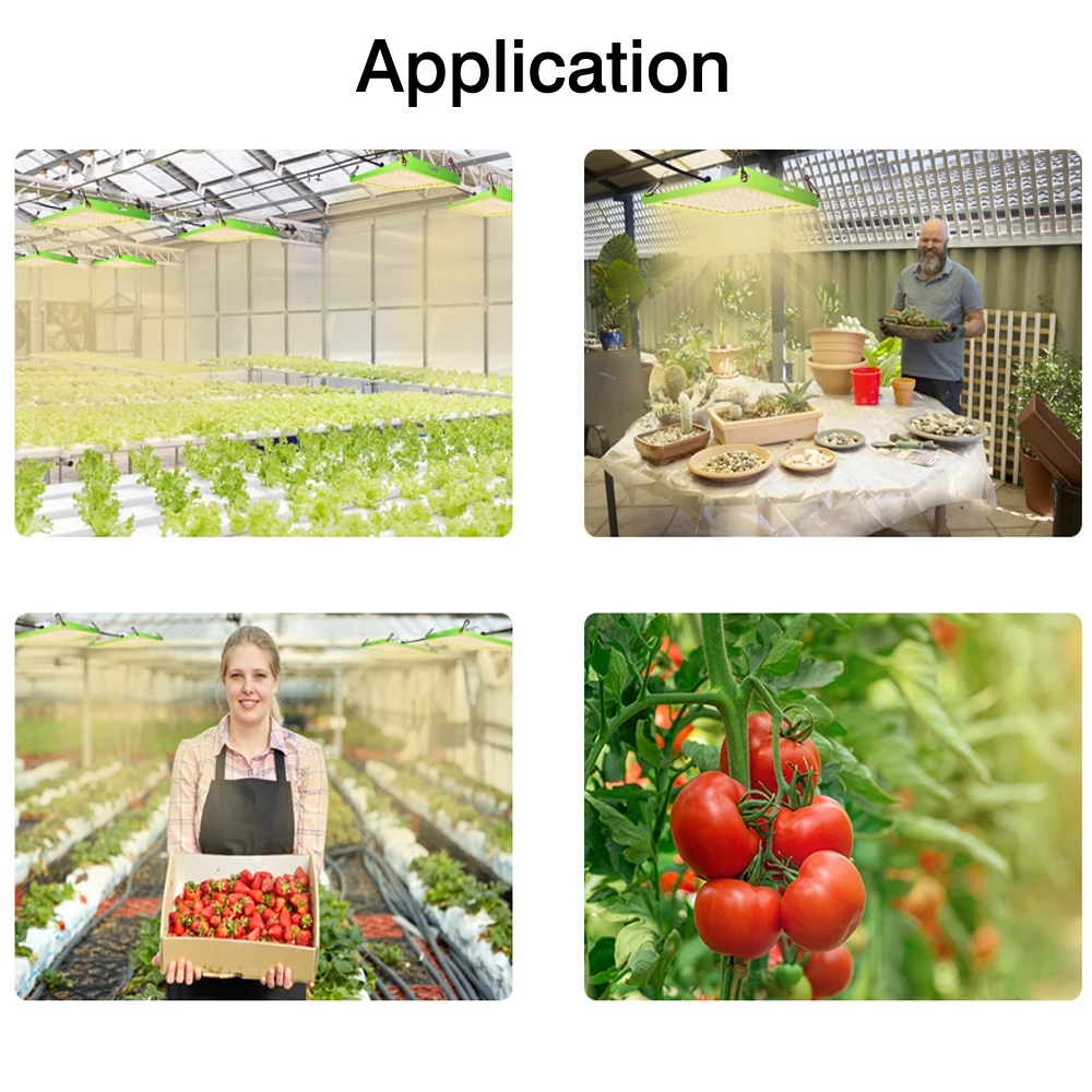 

50W 100W LED Grow Light Samsung Full Spectrum 3000K 6000W Red Light 660nm UV IR Indoor Veg Bloom Growth Greenhouse Planting