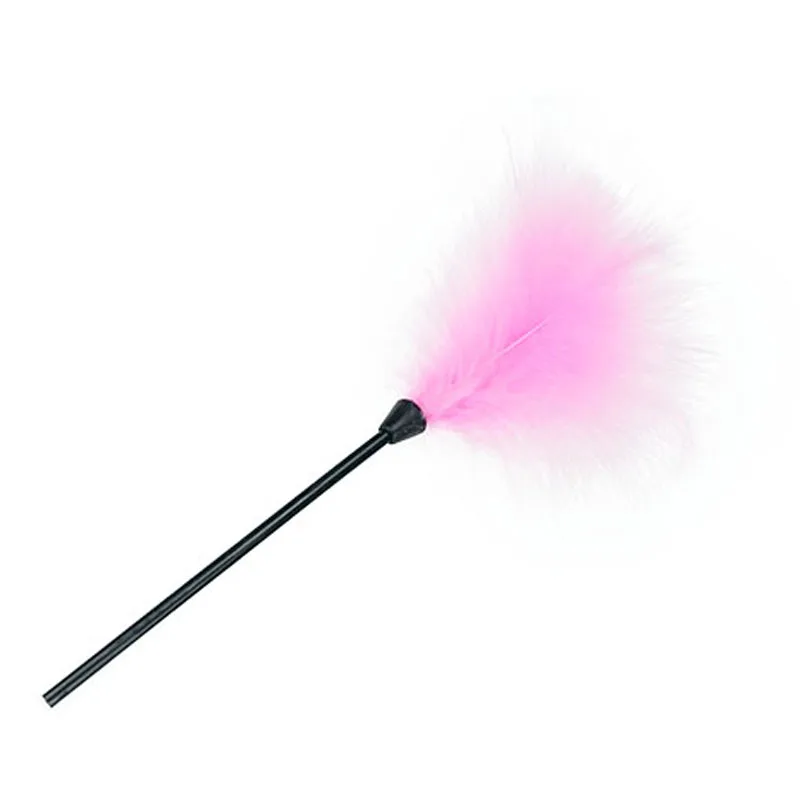 Перьевая палка кнут удар порка мучение Sub Slave преобладающий кудрявый фетиш бдсм